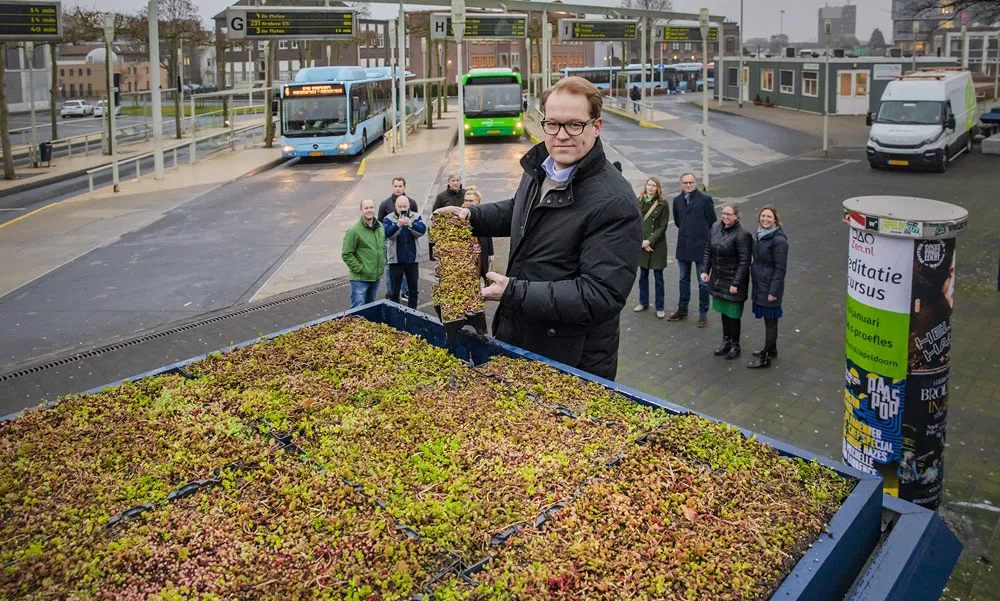 groene bushokjes groot website apeldoorn