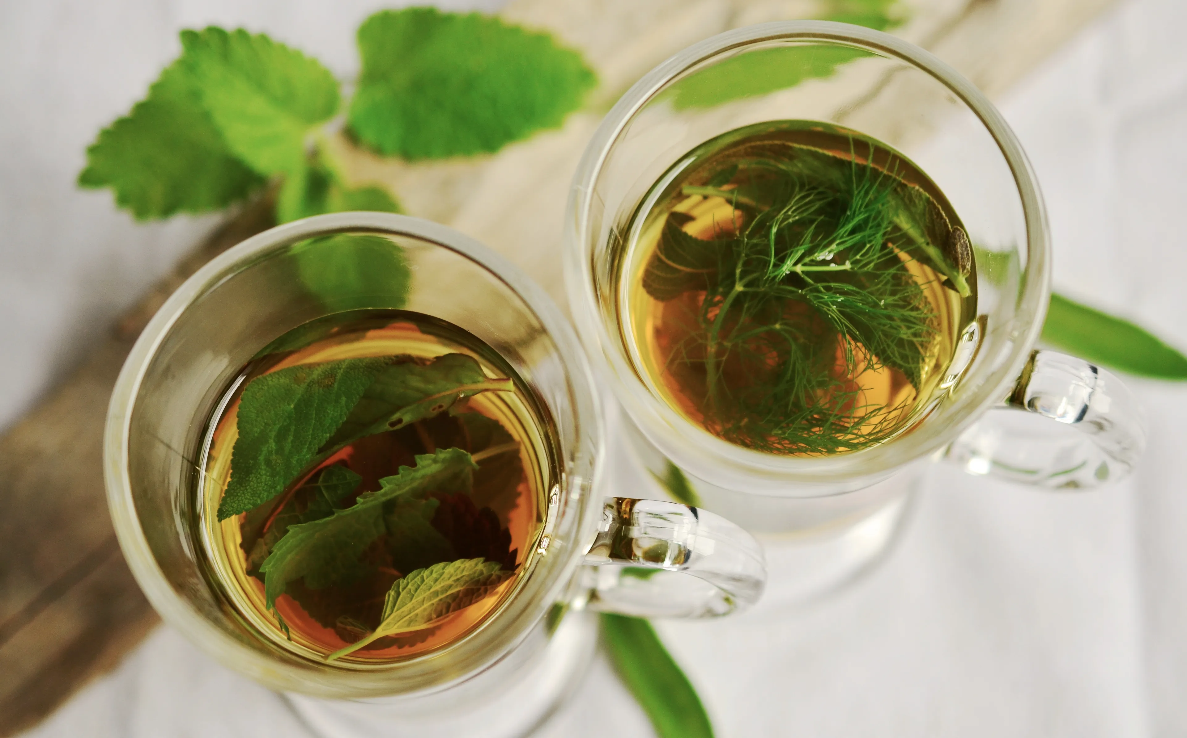 herbal tea 1410565