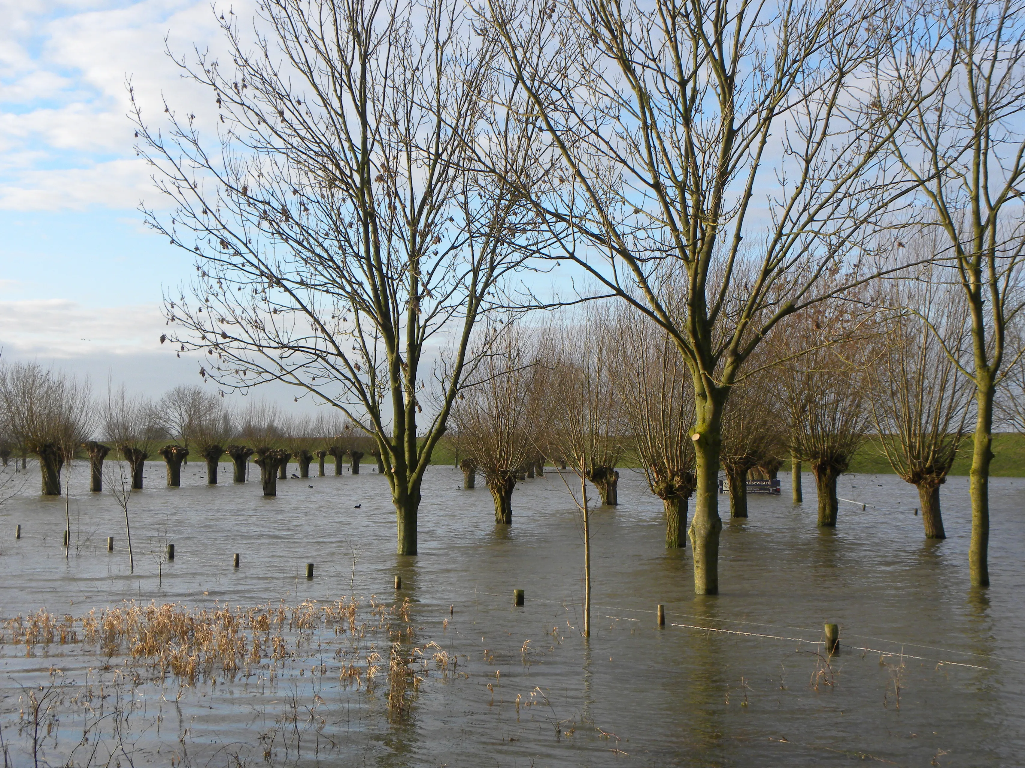 high water 2940596