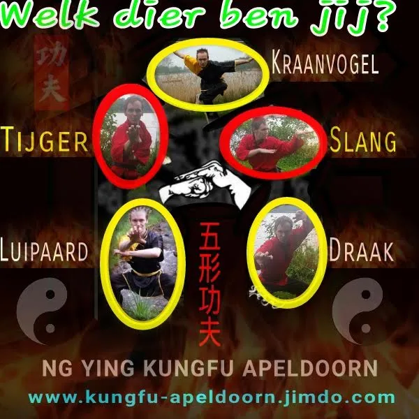 kungfu school poster