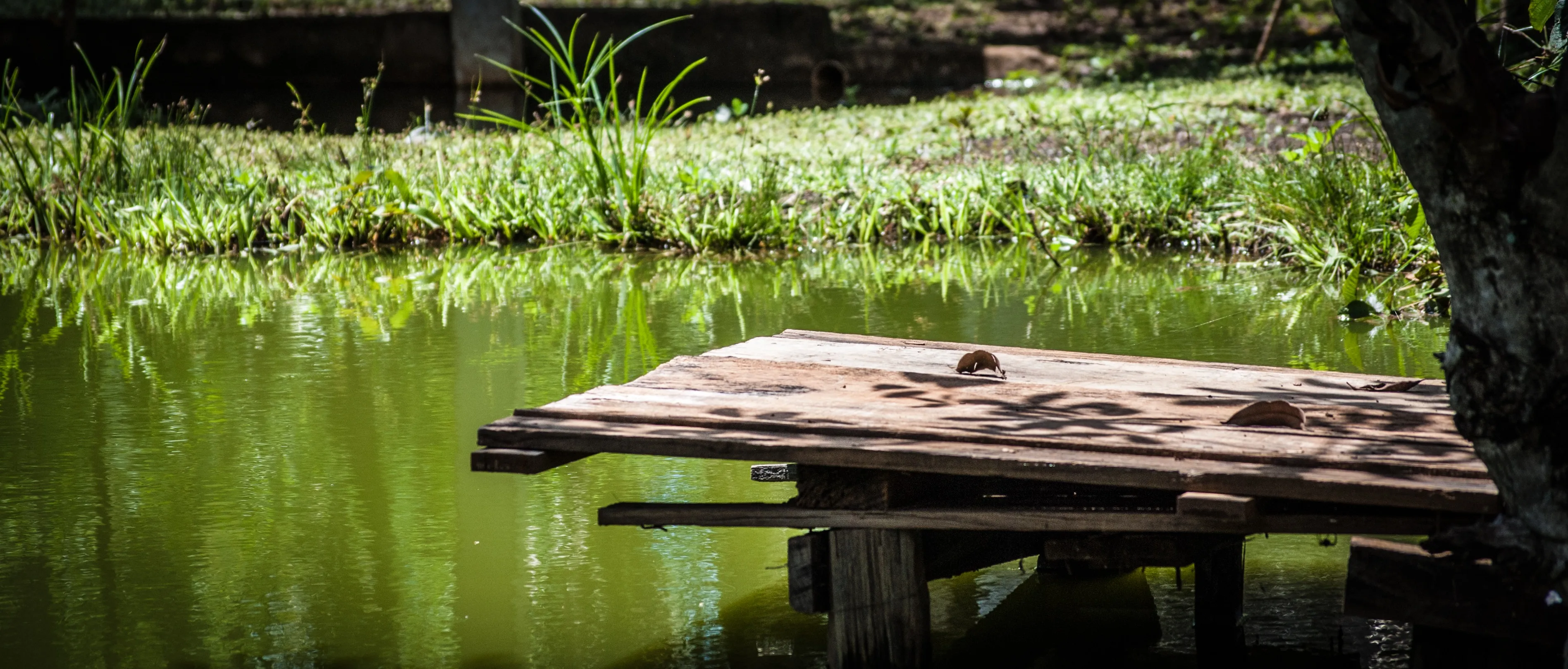 lake 338899