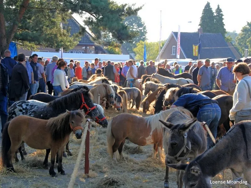 loense moandag de brink loenen
