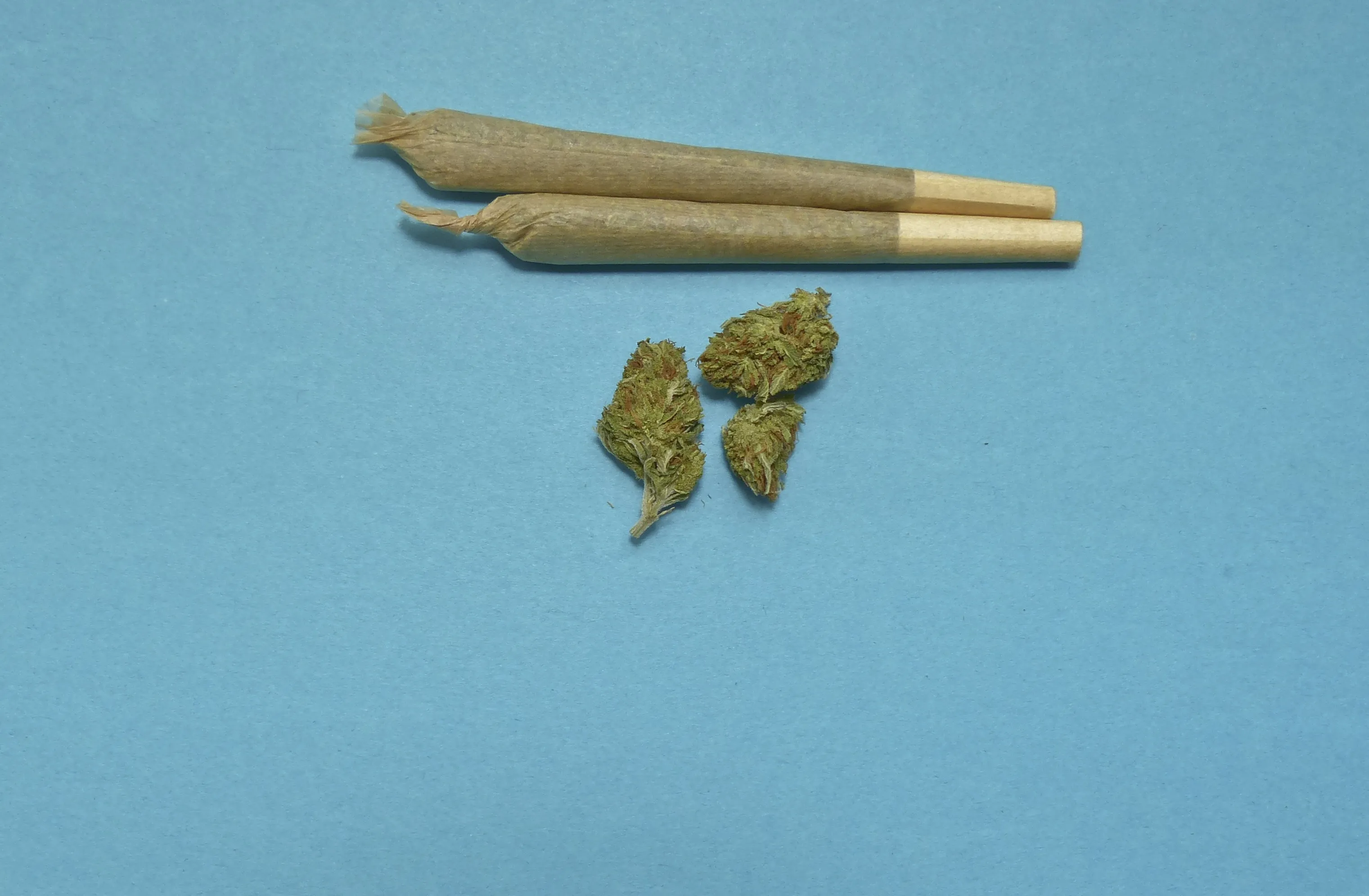 marijuana 2248066