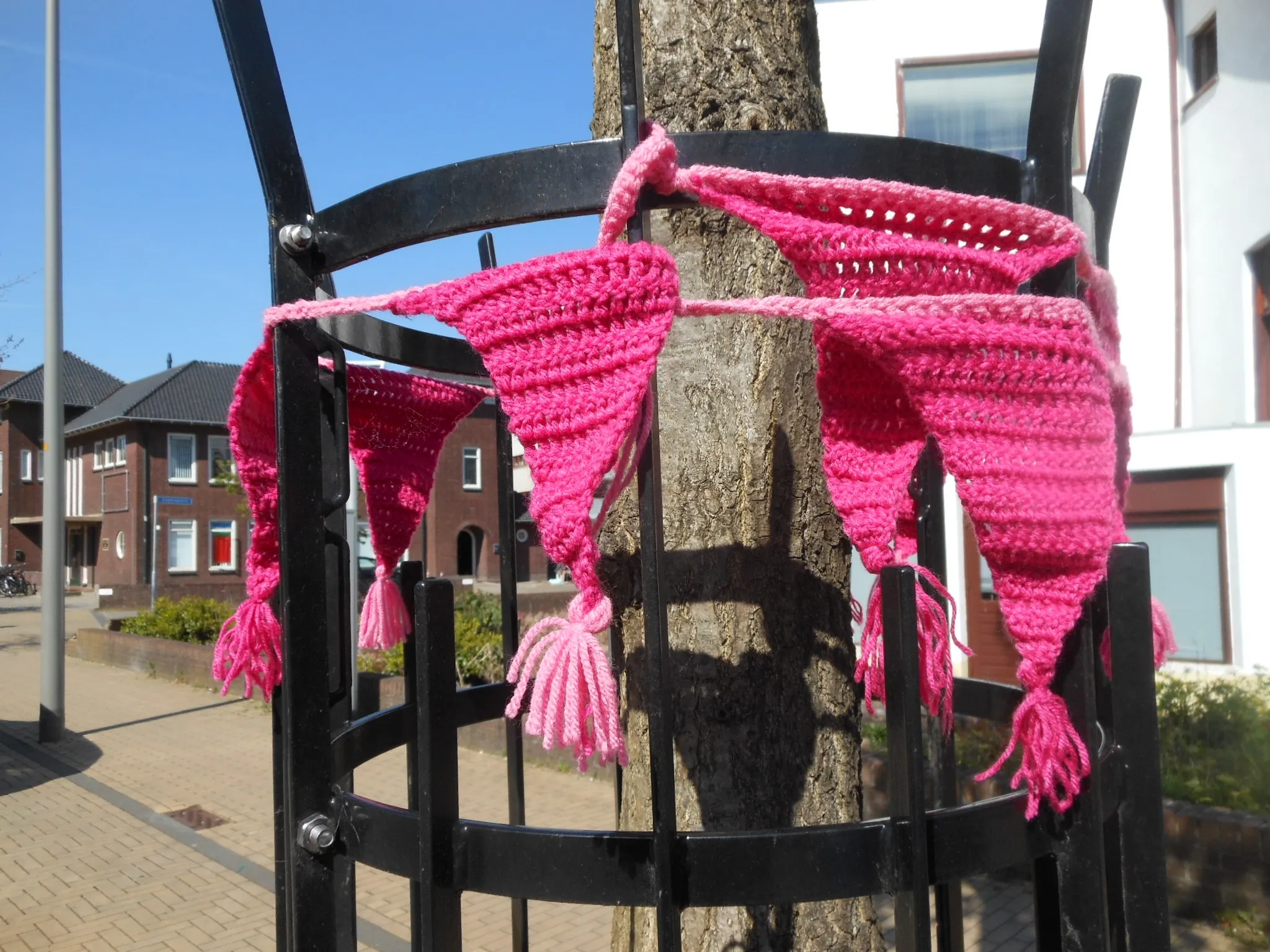 no worry roze wijst de weg