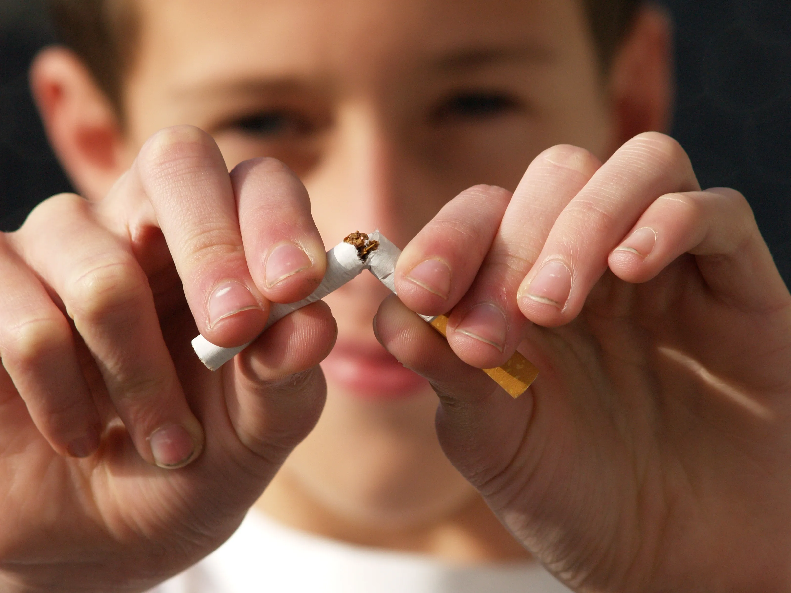 non smoking 2497308