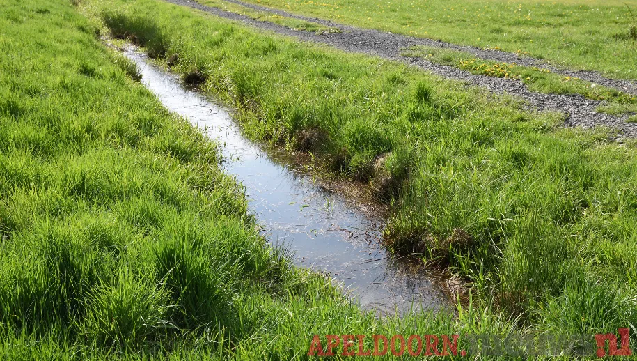 ontwerp zonder titel 34