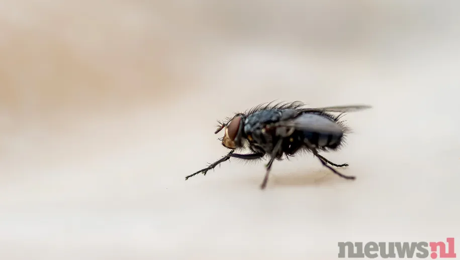 ontwerp zonder titel 52