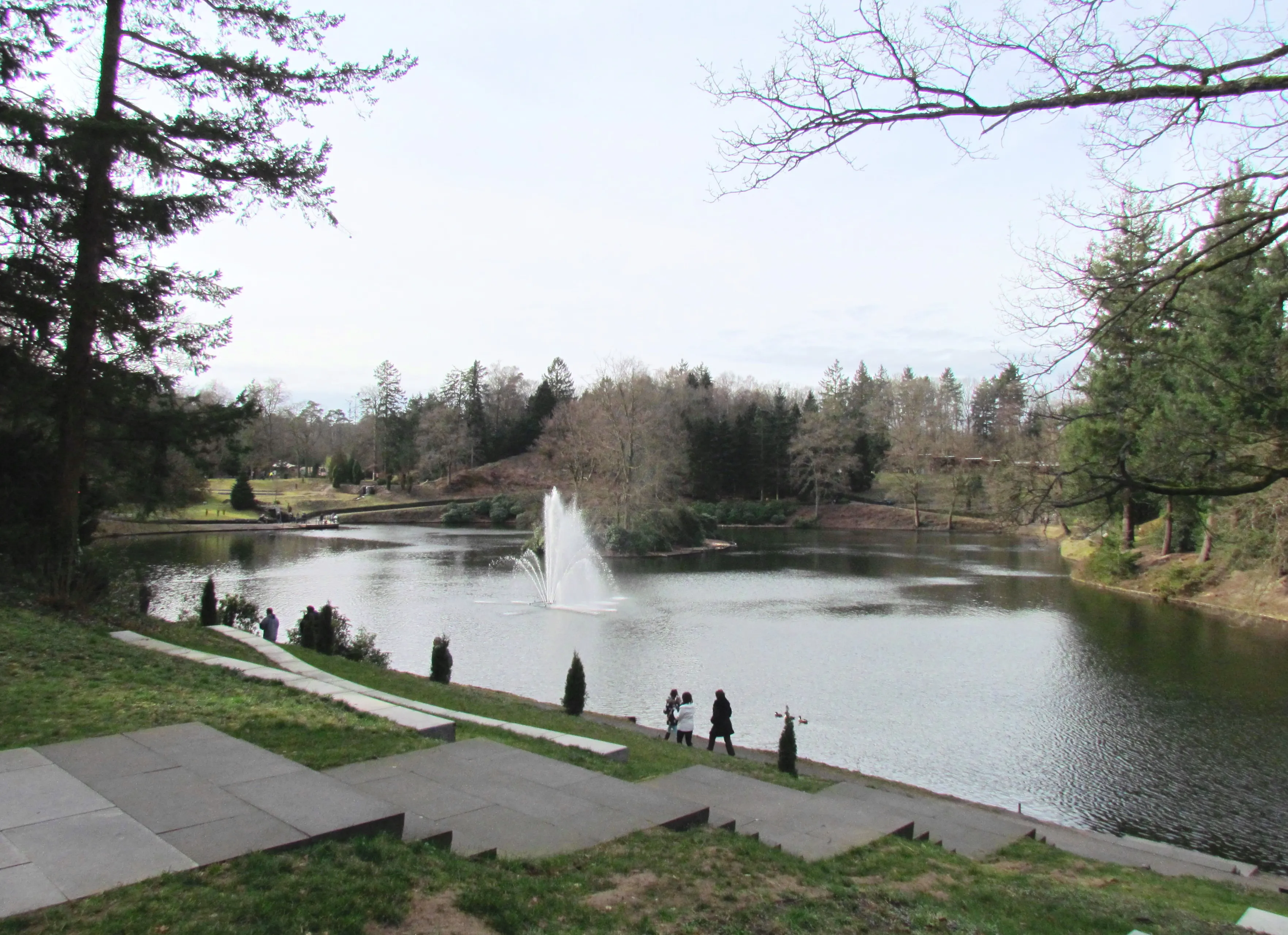 park berg en bos