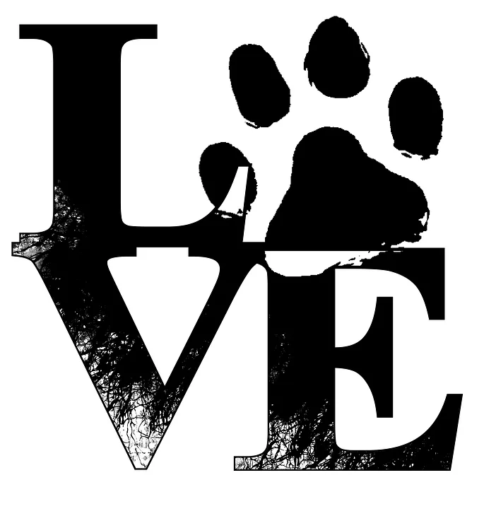 pootafdruk hond liefde pixabay