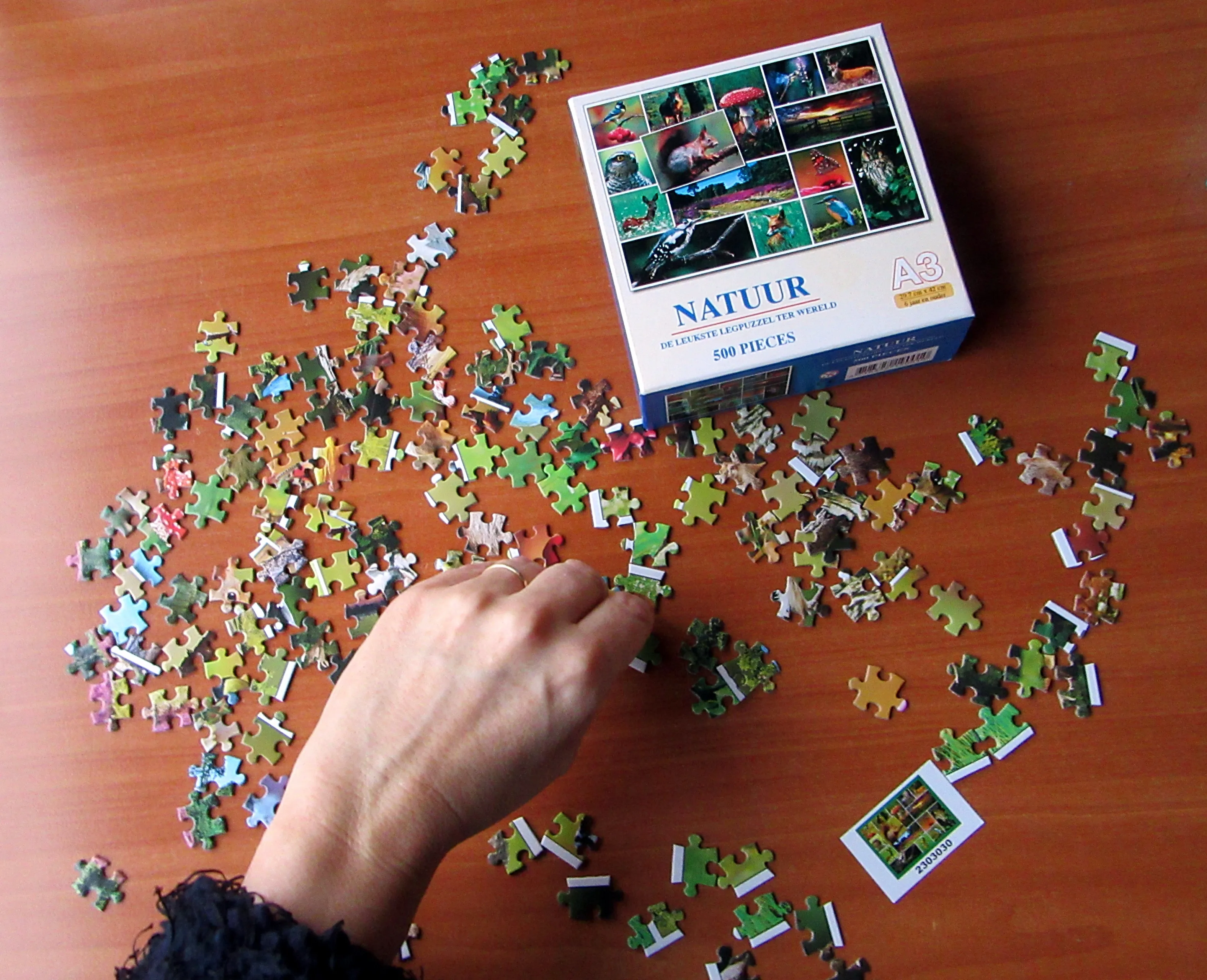 puzzle 19478421