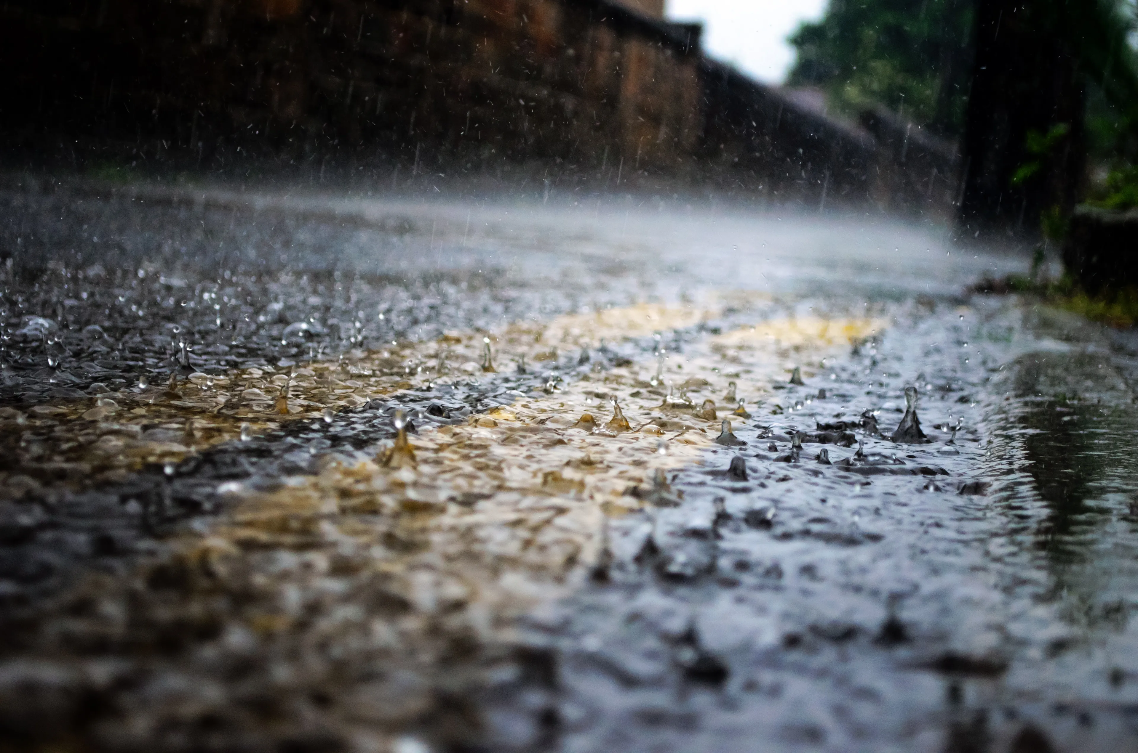 rain 84648