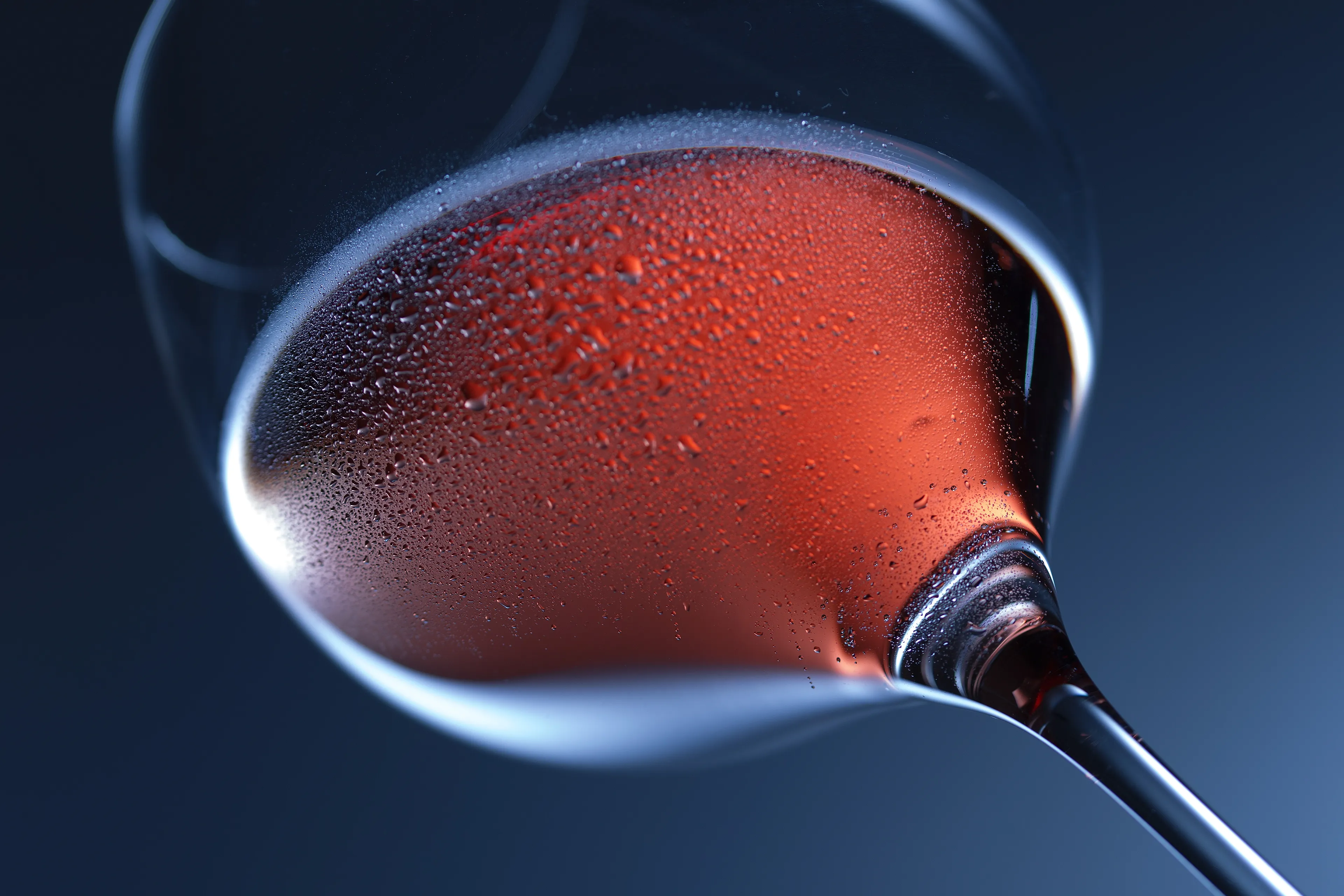 red wine 10042551