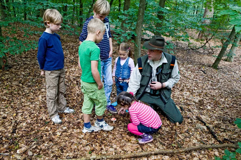 safari boswachter staatsbosbeheer
