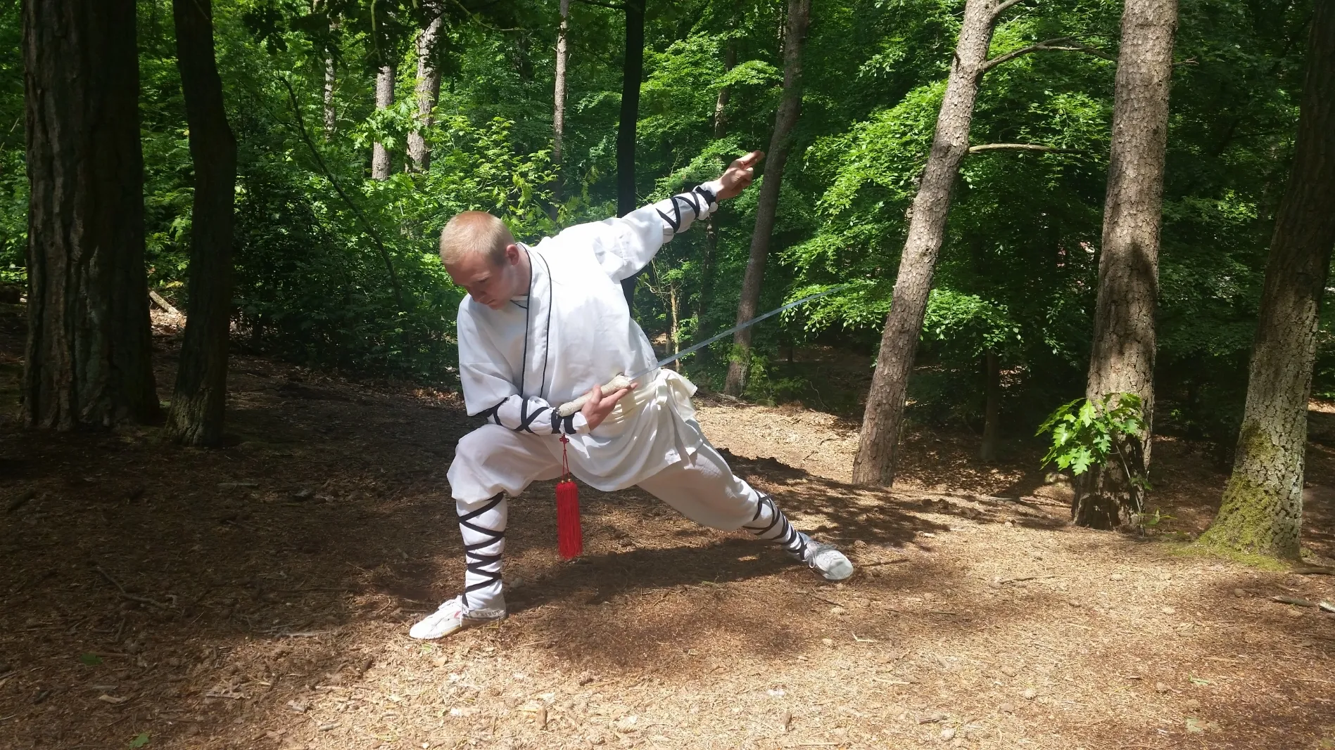 shaolin kung fu