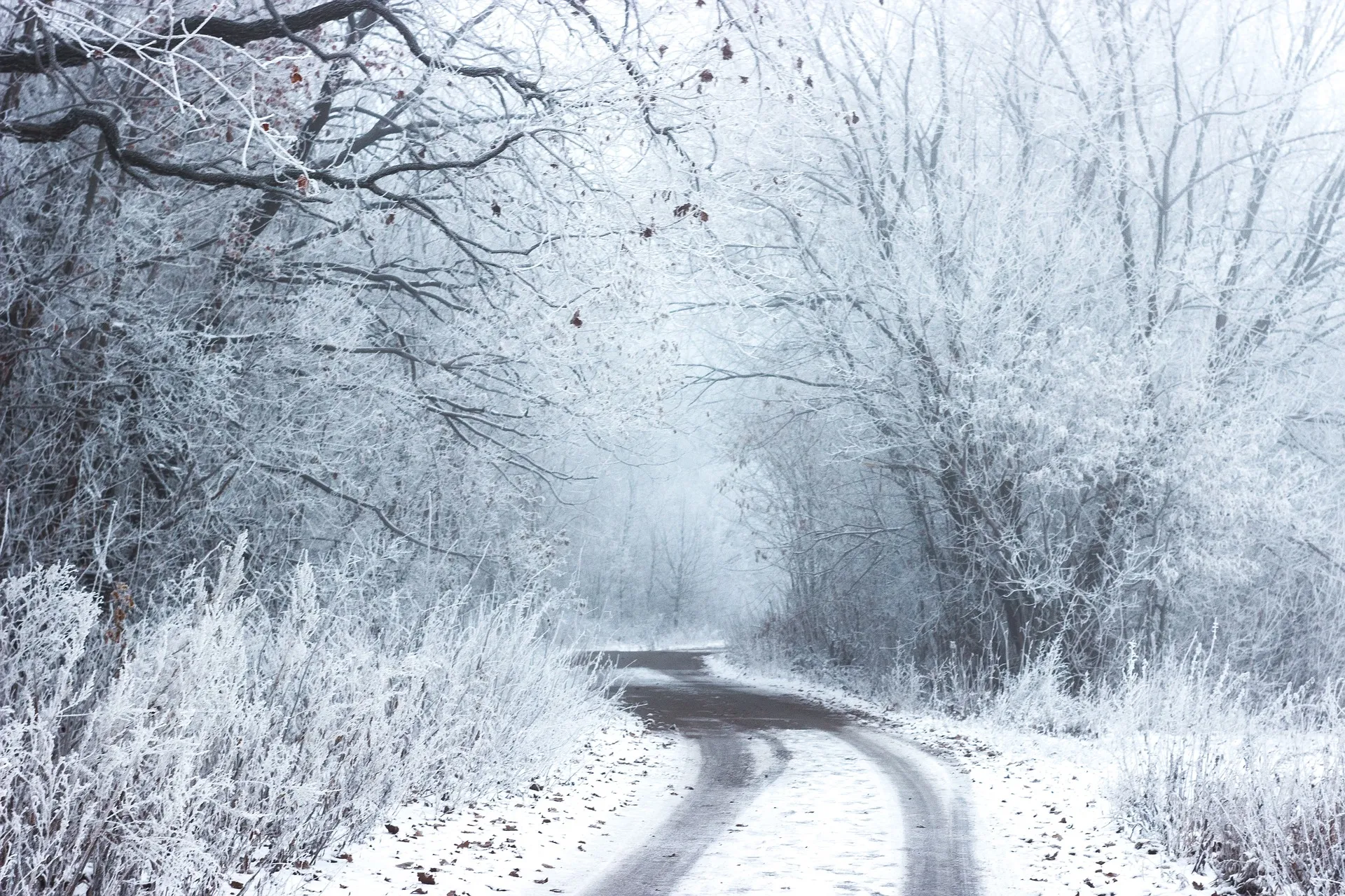 snow 2618159 1920