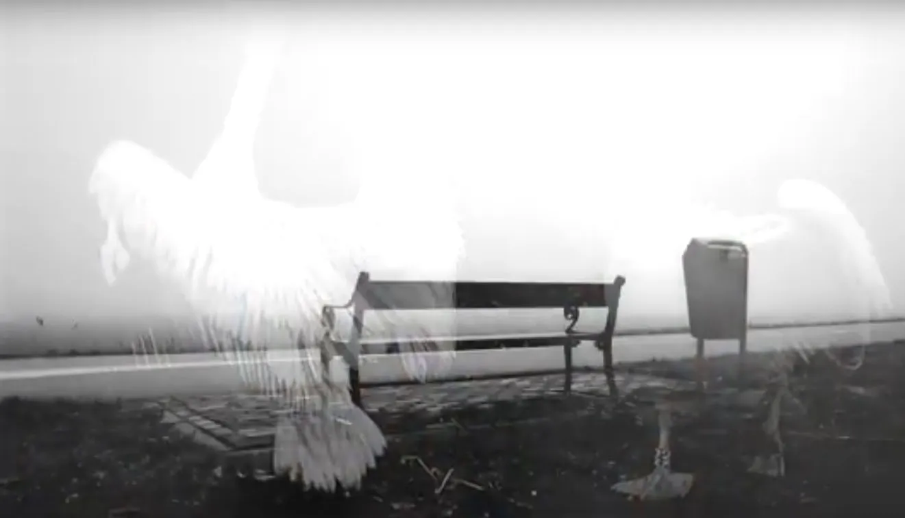 still youtube hoe kijkt autisme veluwezoom in beeld