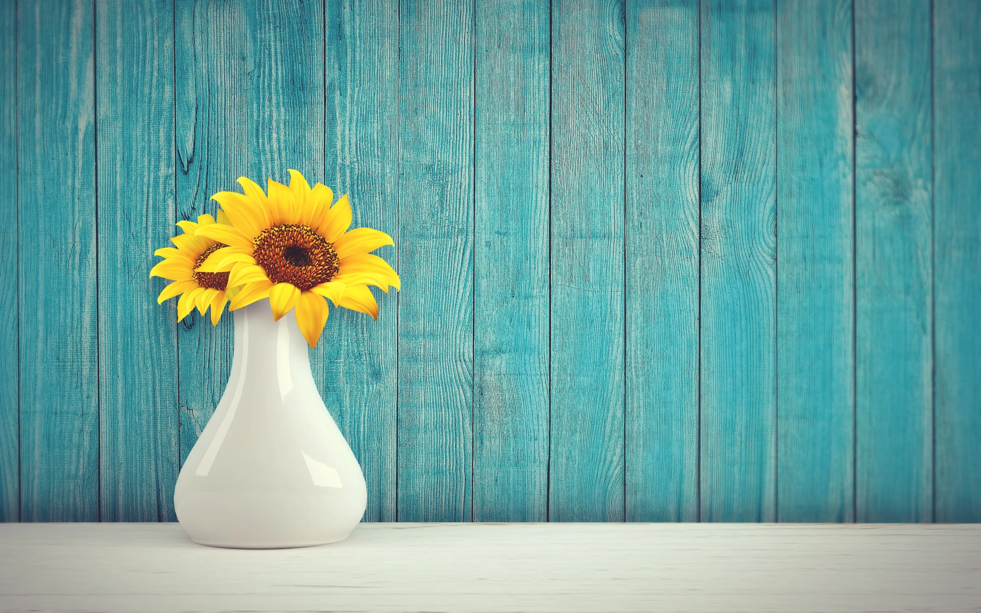 sunflower 3292932