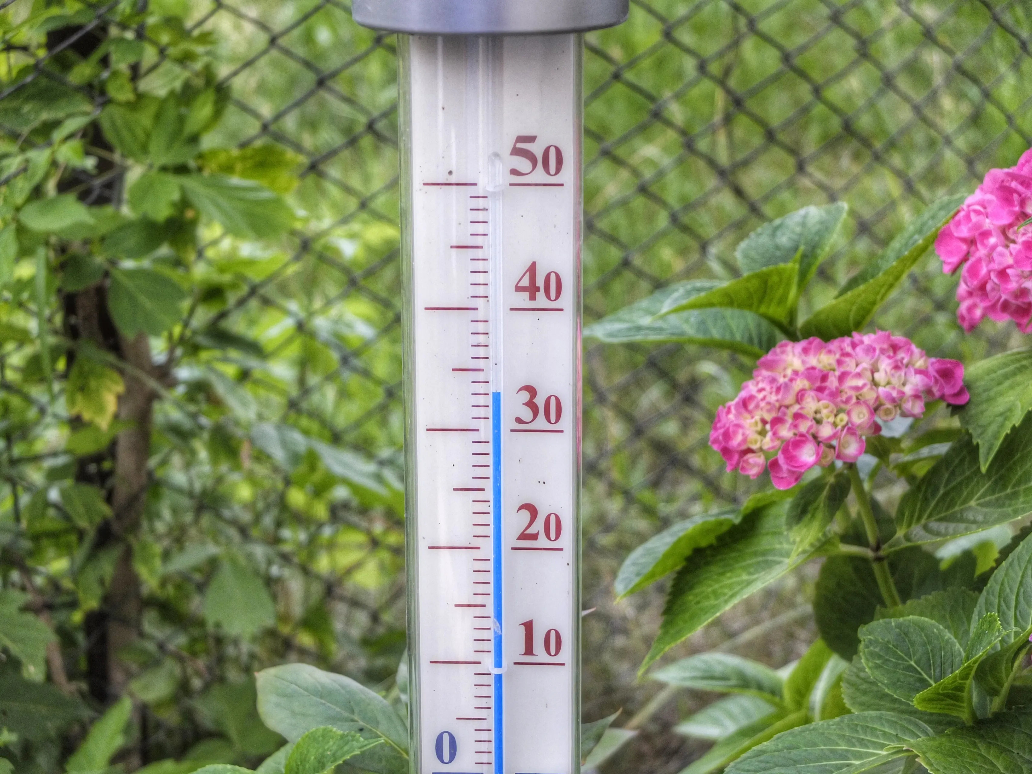thermometer 398735
