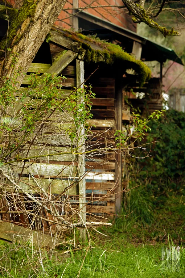 tree grass wood house flower building 296325 pxherecom 2
