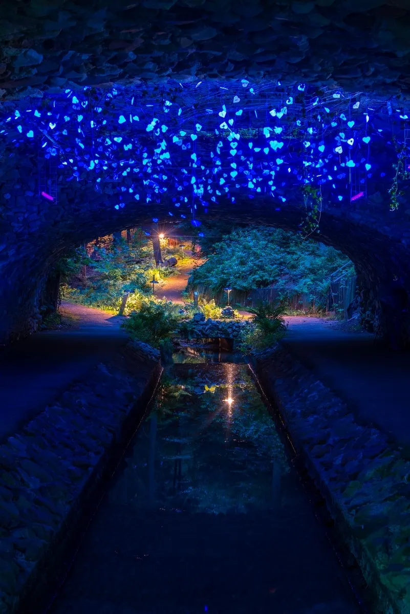 tunnel
