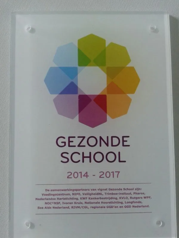 vignet gezonde school leijestroom