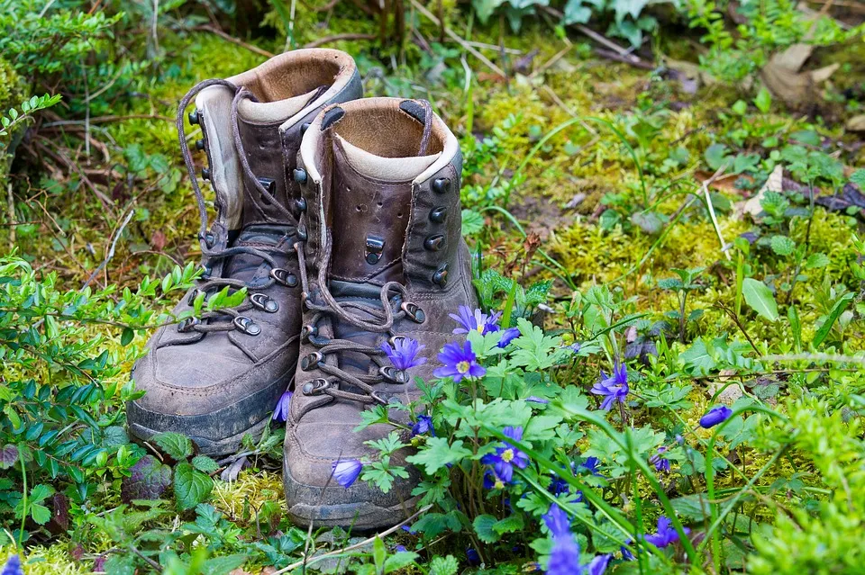 wandelschoenen pixabay maxmann
