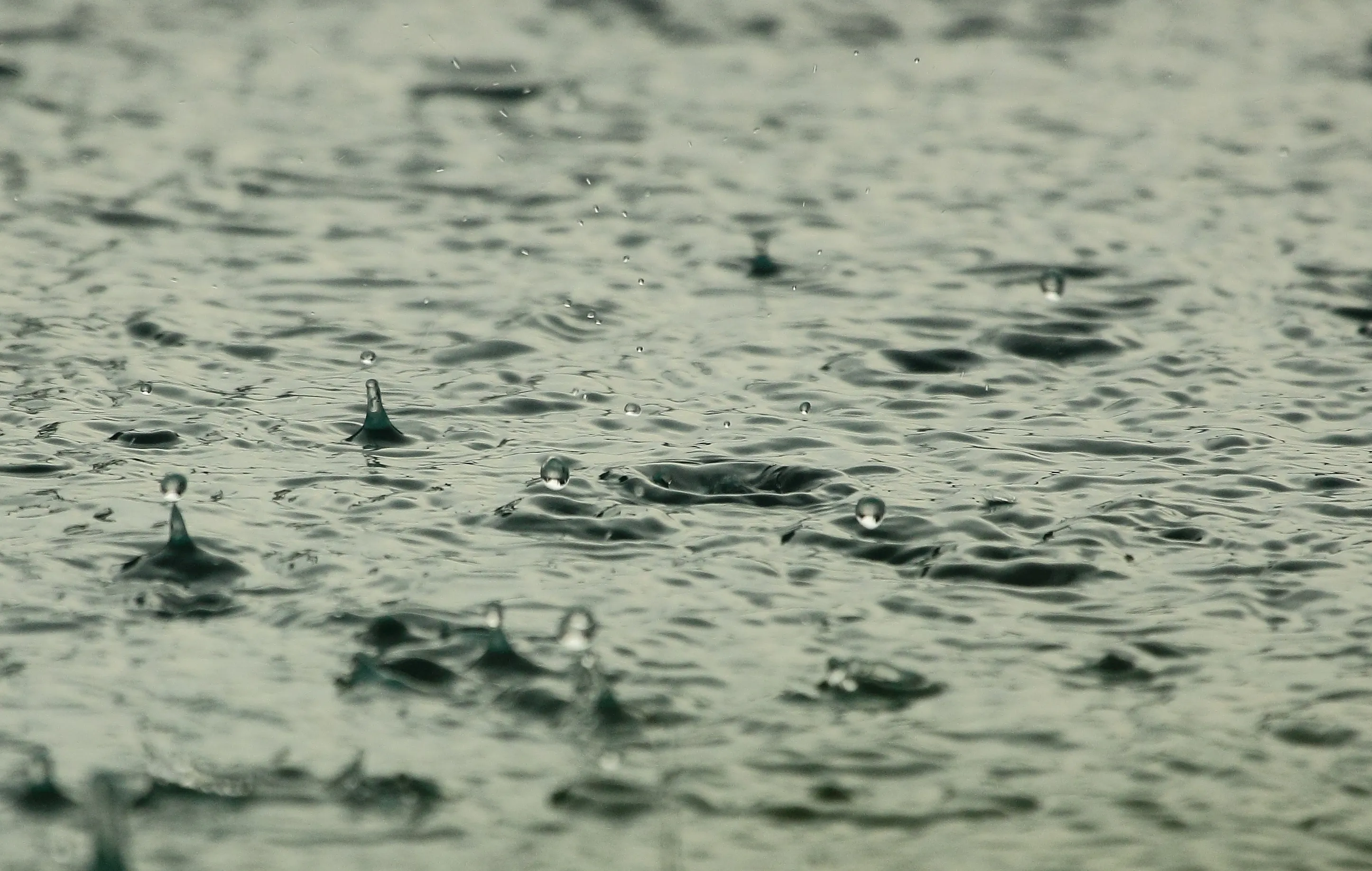 water 815271