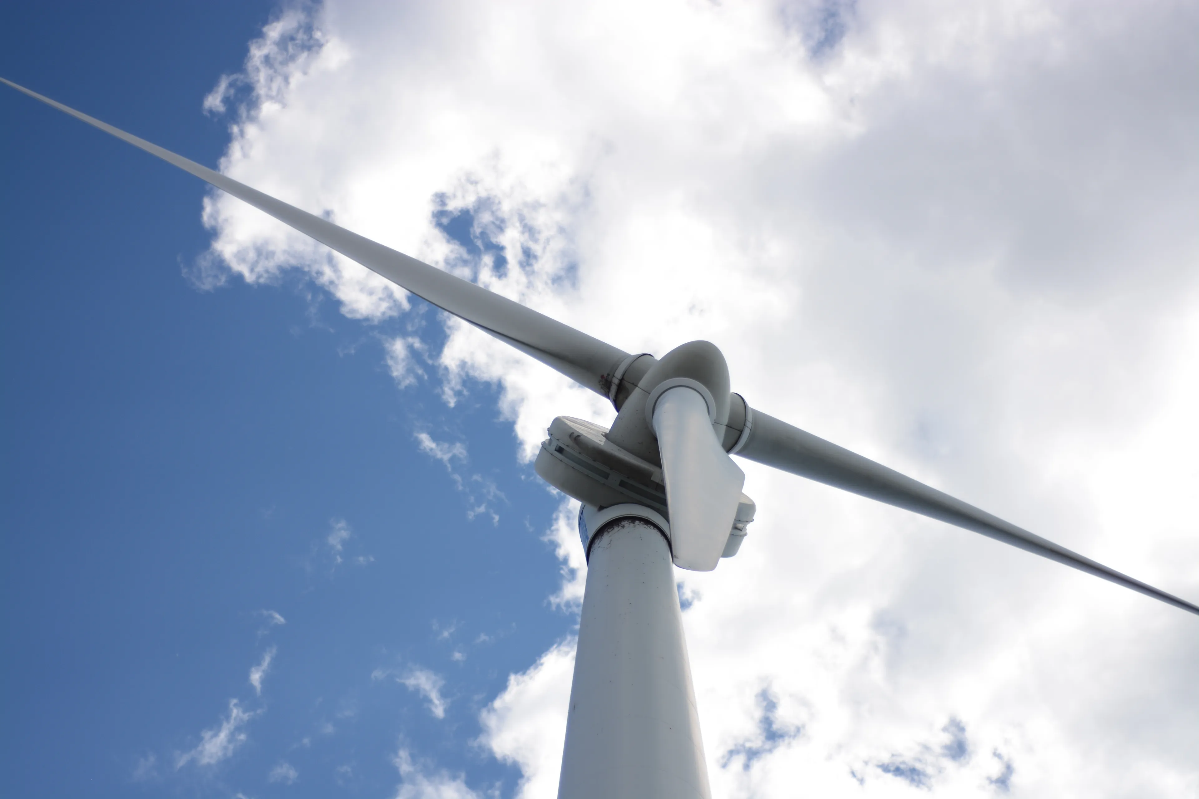 wind turbine 1264156