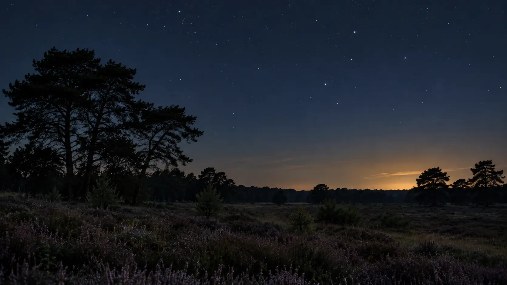 Sterren boven een donker heidelandschap met een lichte gloed aan de horizon.