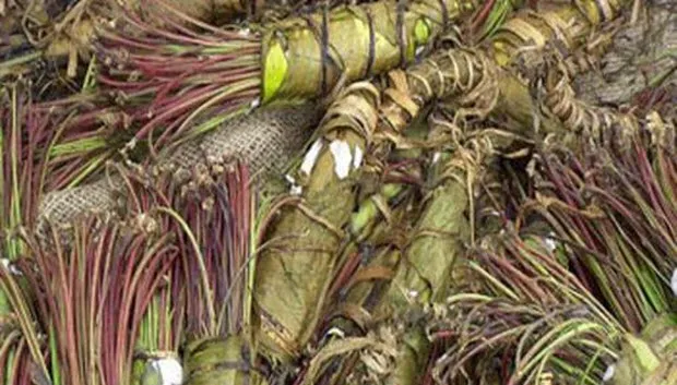 au8ymxq6ihnivxm3qj5p2ayrd qat