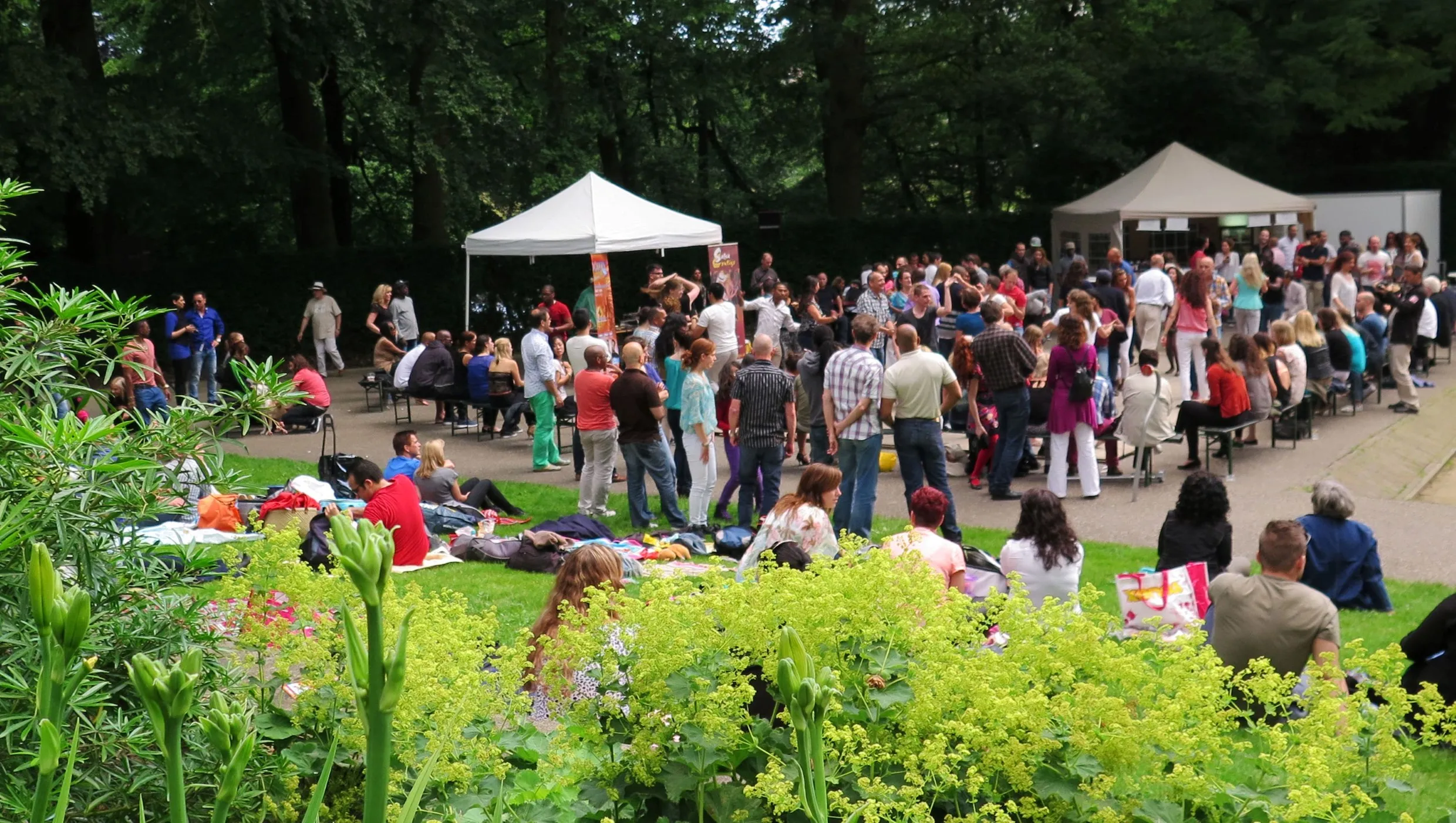 b4r8zdruzyuieakbz1bnkbklg salsa steile tuin2014 juni