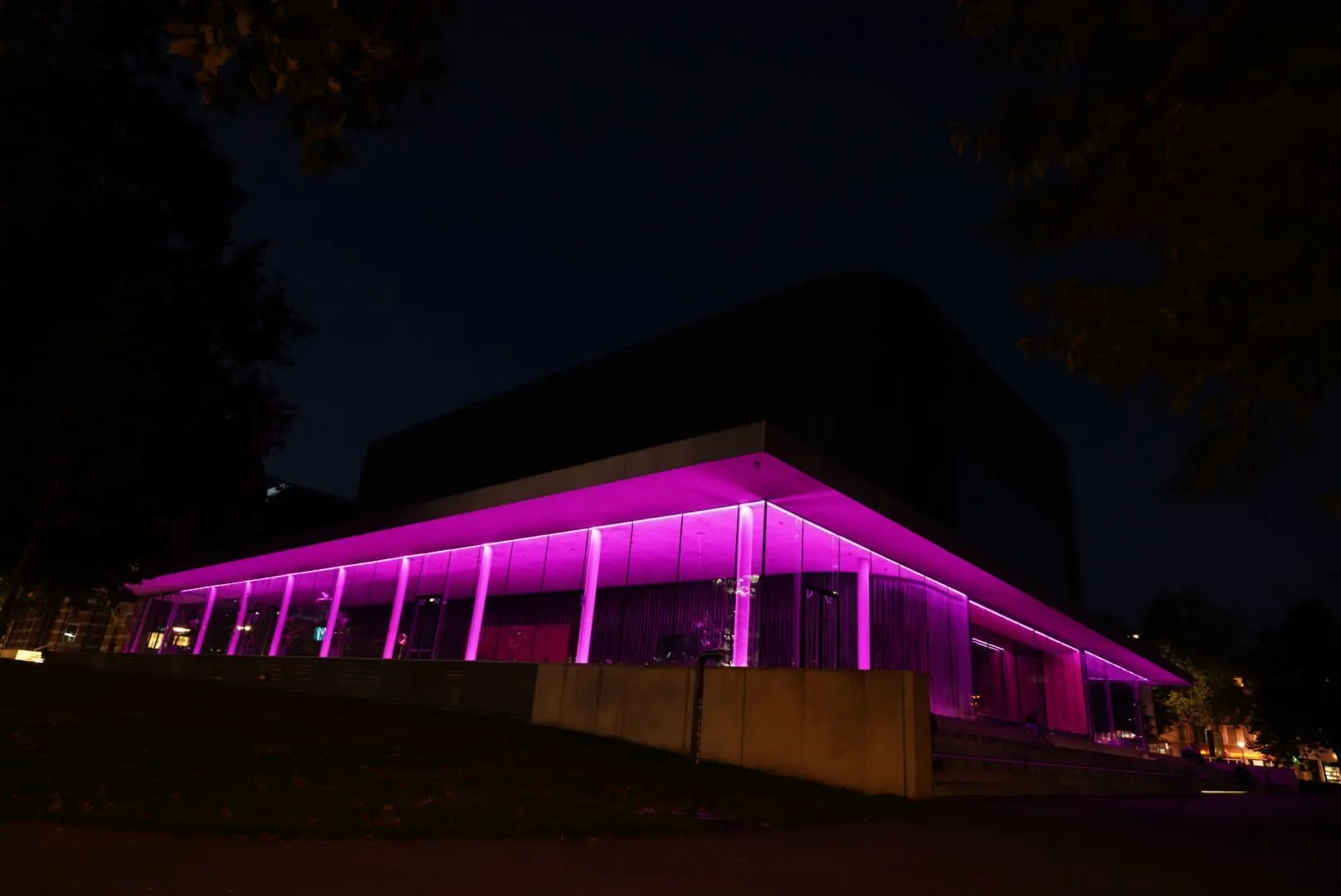 baby loss awareness week 1