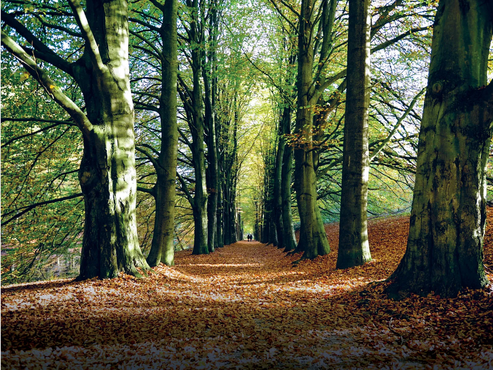 banner nieuw