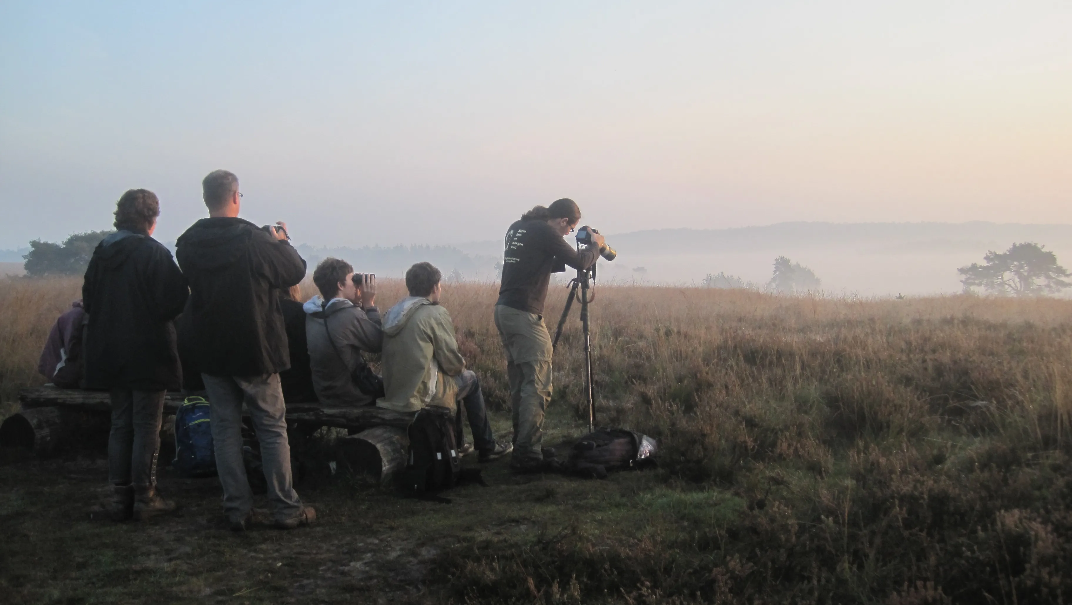 bb9arzm0yol64v7yg397an5jt vogelwerkgroep arnhem eo cursus 1