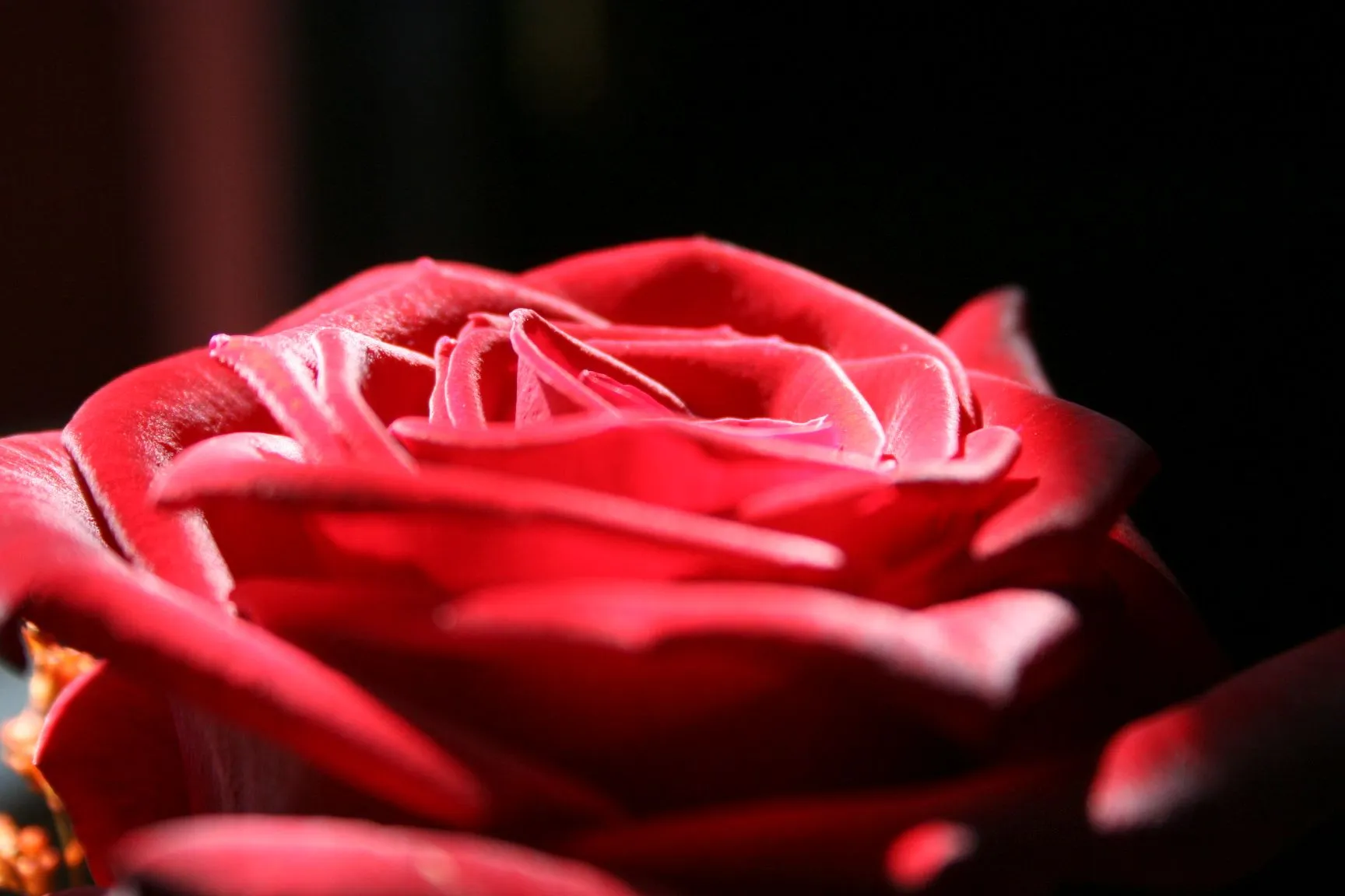 bij lezing rozenkruizers credith den ouden01