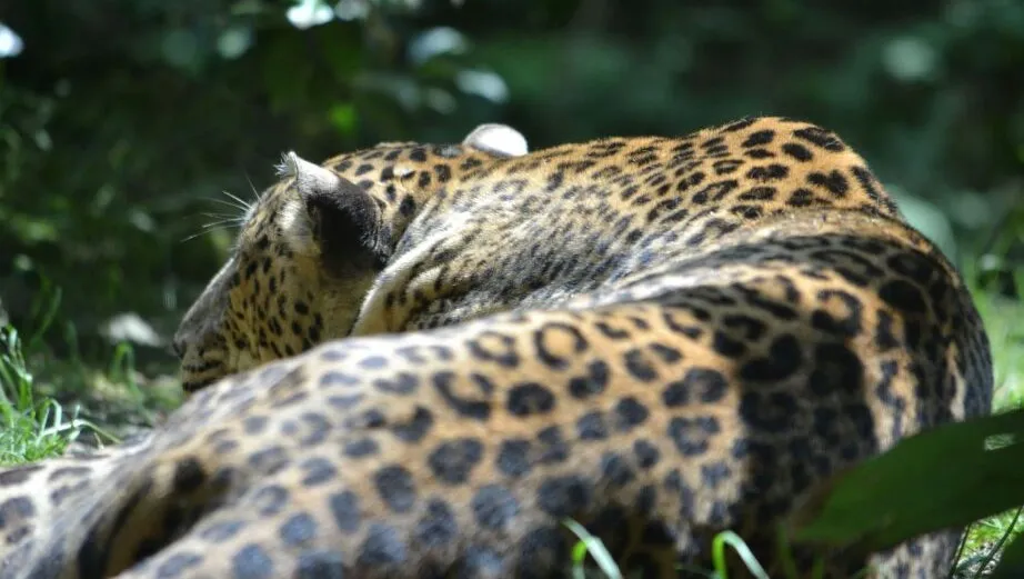 bp14n3wmgpthqz3w6e4mlx5vz burgerszooarnhemnieuwssvenhans20140711 5