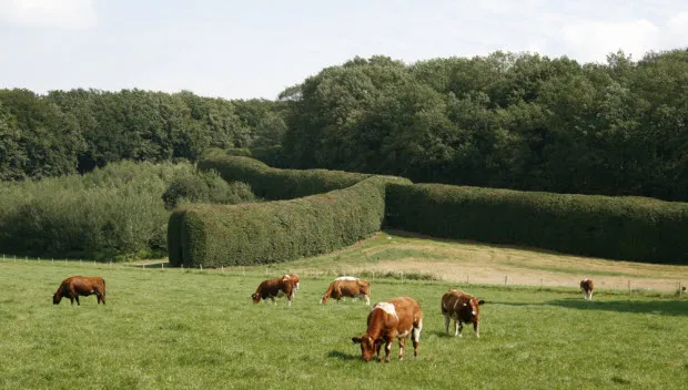 bpwmvgozskxhax1kc4zlhk5hw mariendaal groene bedstee