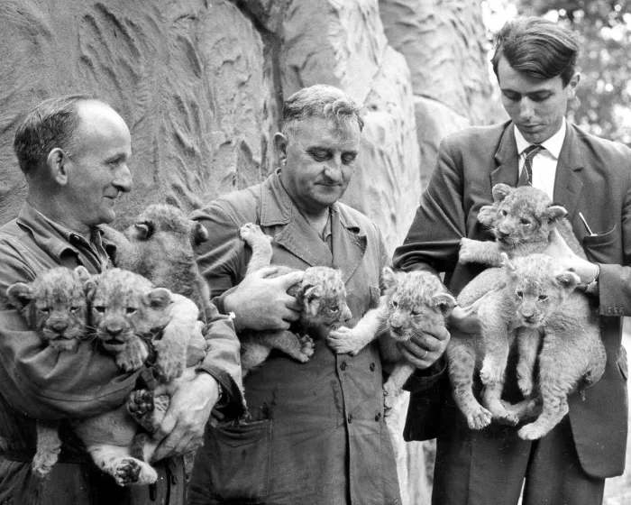 bqdt7s15pz6duvovscztdw0z6 174126