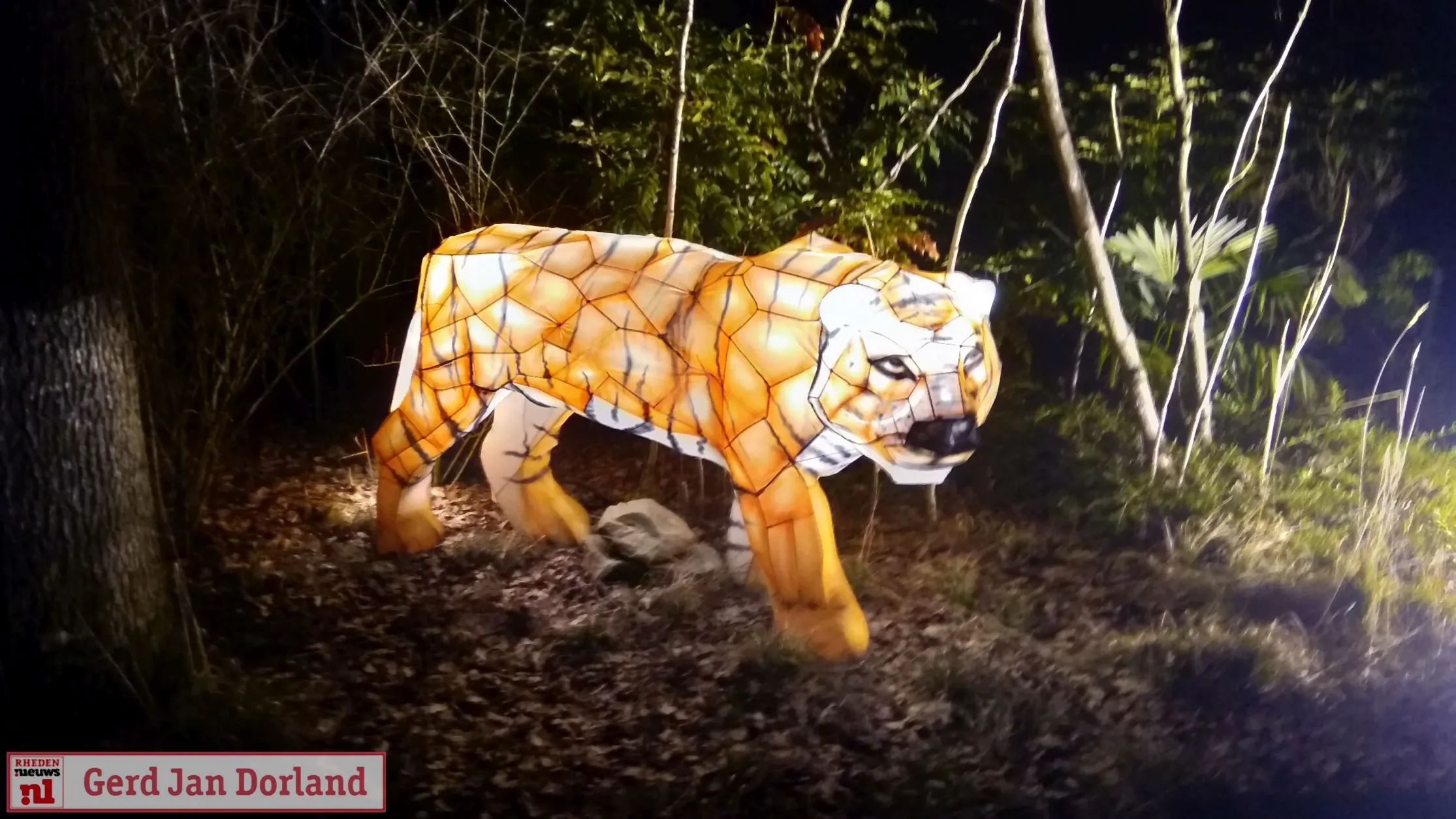 burgers light 2019 17