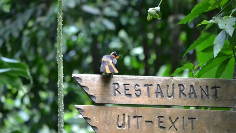burgers zoo arnhem nieuws sven hans 20140711 7