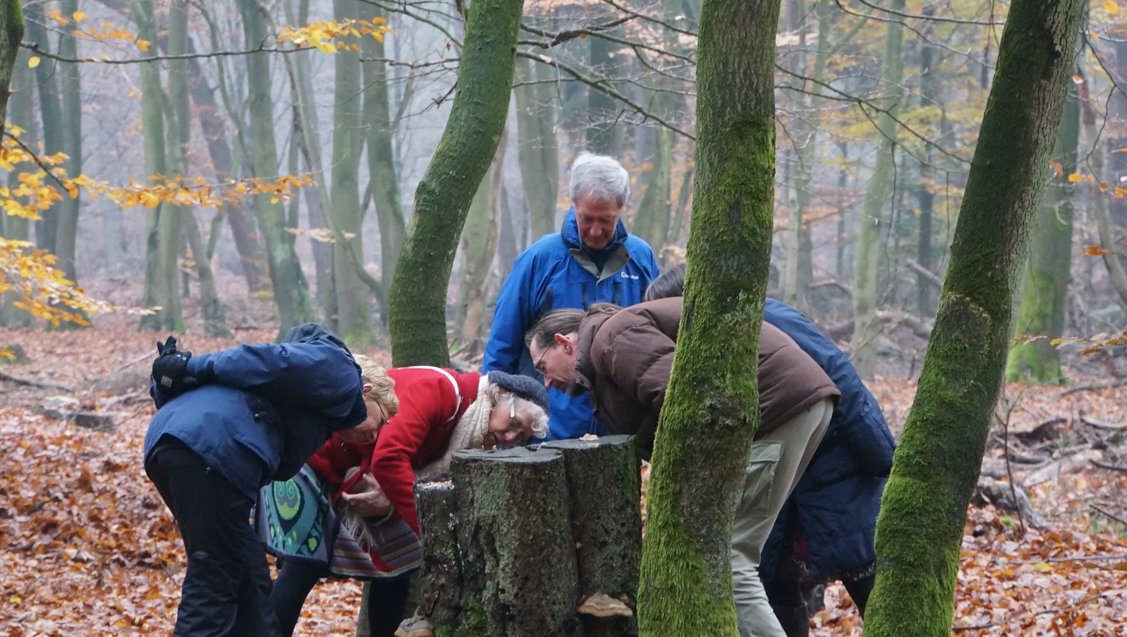 cursus natuurgids ivn2 ivn oost veluwezoom en ivn arnhem1