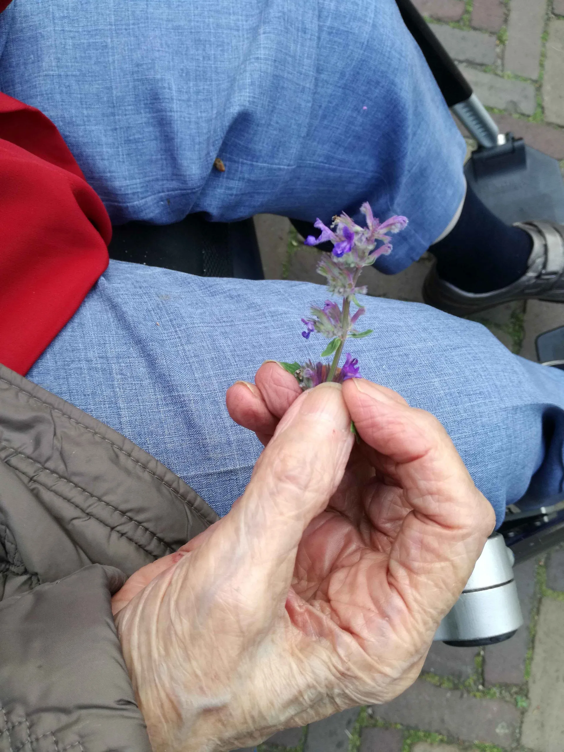 dagin teken van dementieimg 20190611 185819