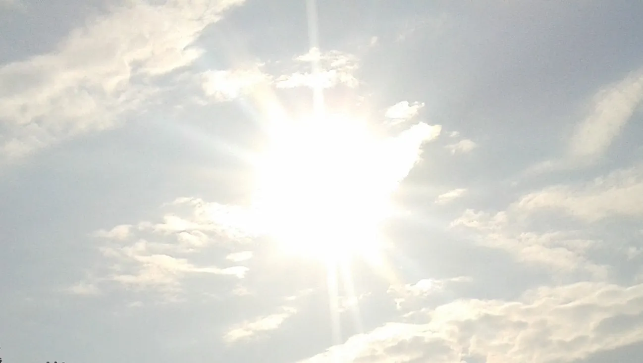 drb0zksft1rwoz2l9pvoea9w7 zonarnhemnieuws