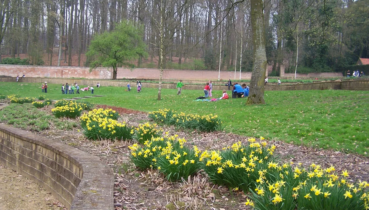 dzpdaop65jttj37gko43hfyci lentewandelingarnhem