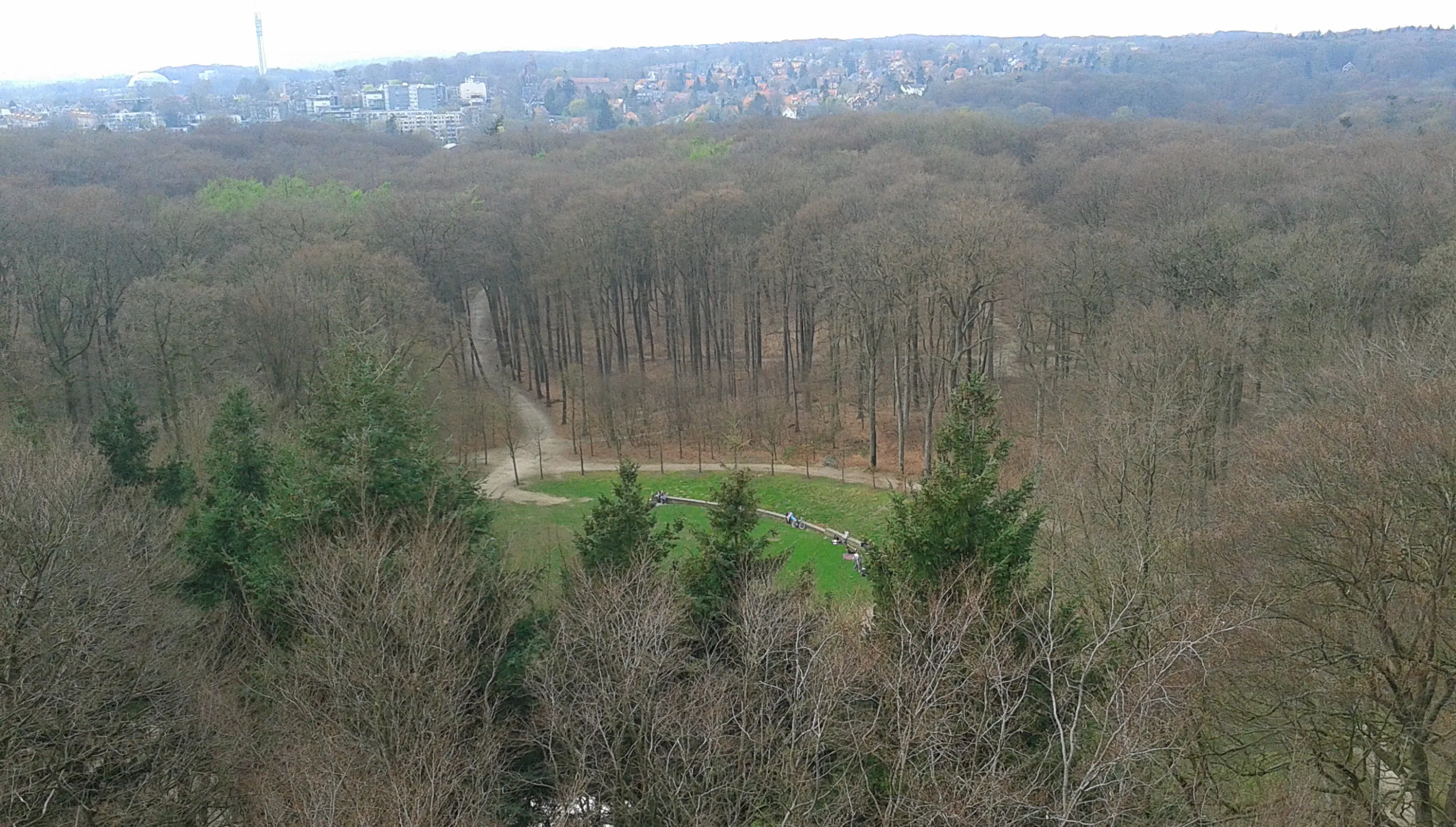 f31d2uohmomwqiwoc515q84f7 arnhemrondeweidearnhemnieuws 2