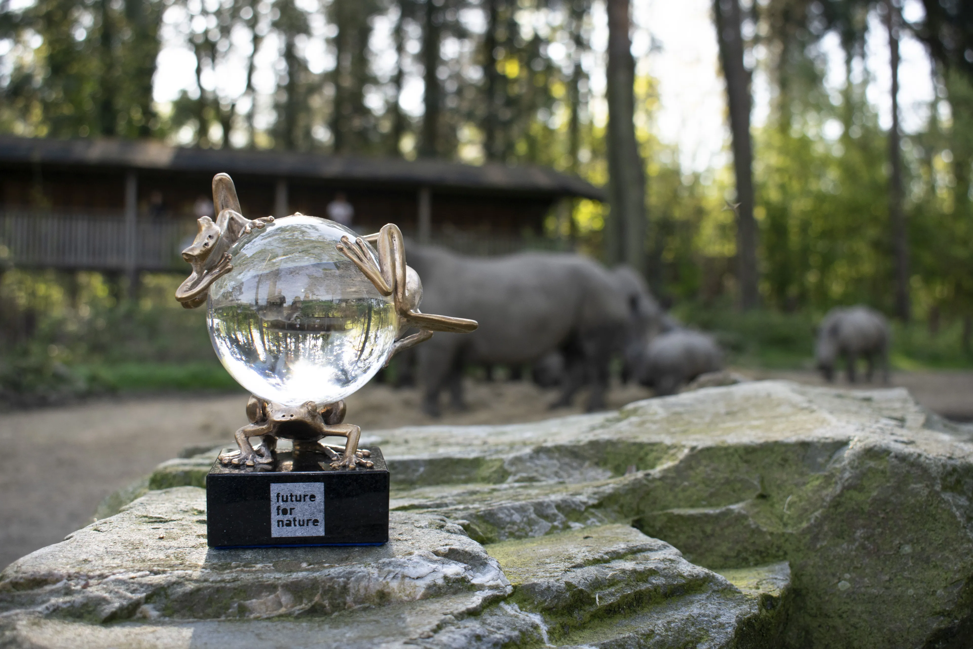 ffn award