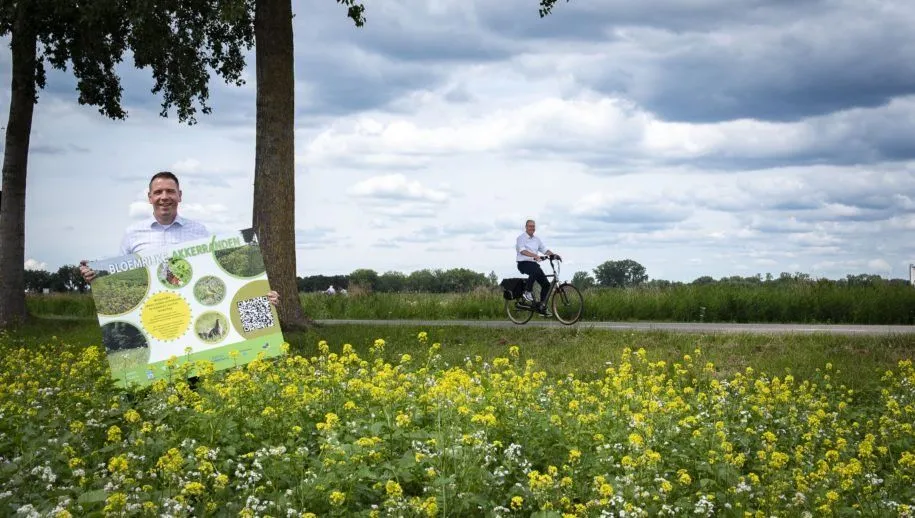 fietsroute bloemrijke akkerranden 915x518