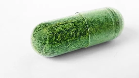 ftwvcqdggrwvaozgff9w50e8l medicijnfabriekmartijn engelbregtarnhem