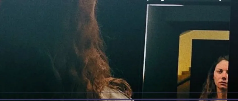 goshortthe elephant valkhof museum