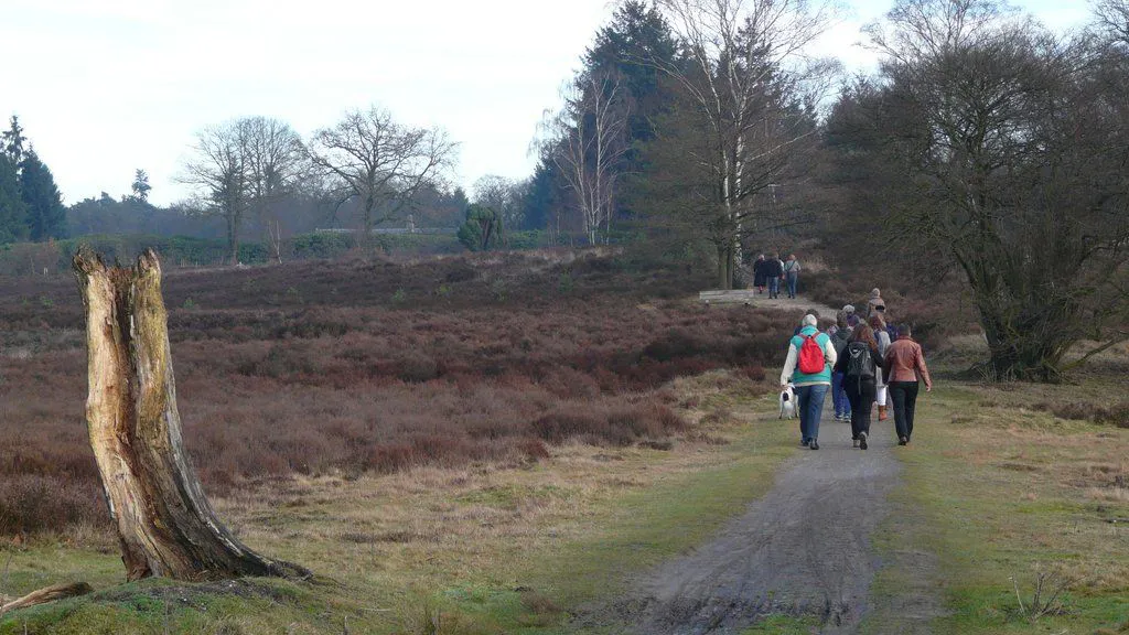 h5az7wit3qs8ri5anfzgzgehj warnsborn